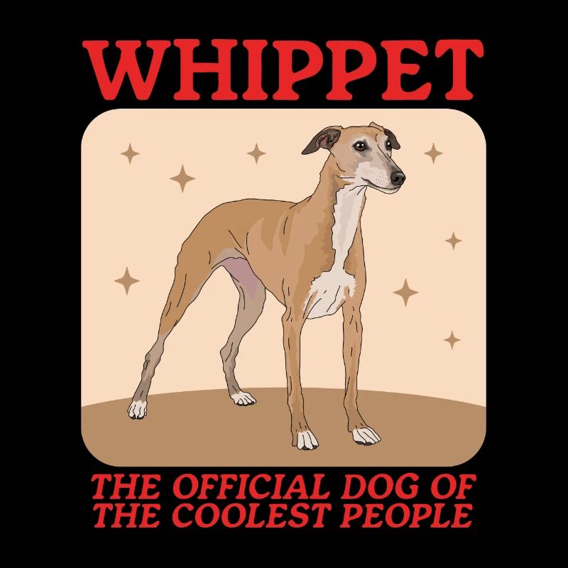 Whippet Lévrier anglais Cadeau