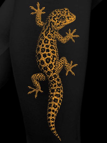 leopard gecko