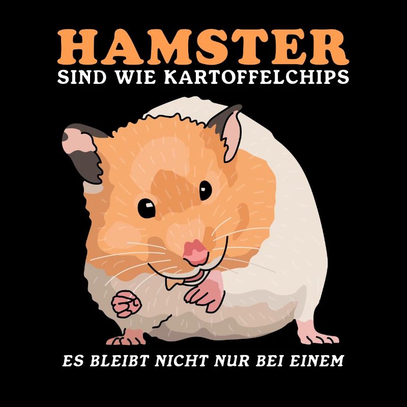 Hamster Dwarf Hamster Golden Hamster Gift