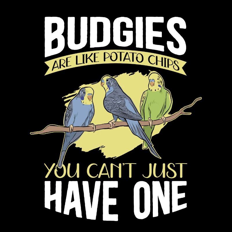 Budgerigar owner budgerigar gift