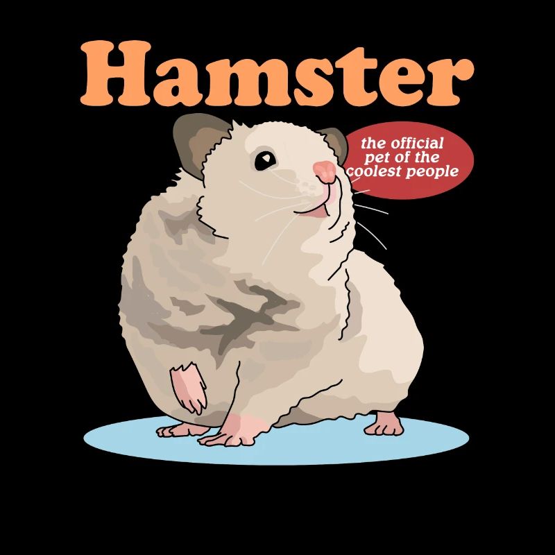 Hamster Dwarf Hamster Golden Hamster Gift