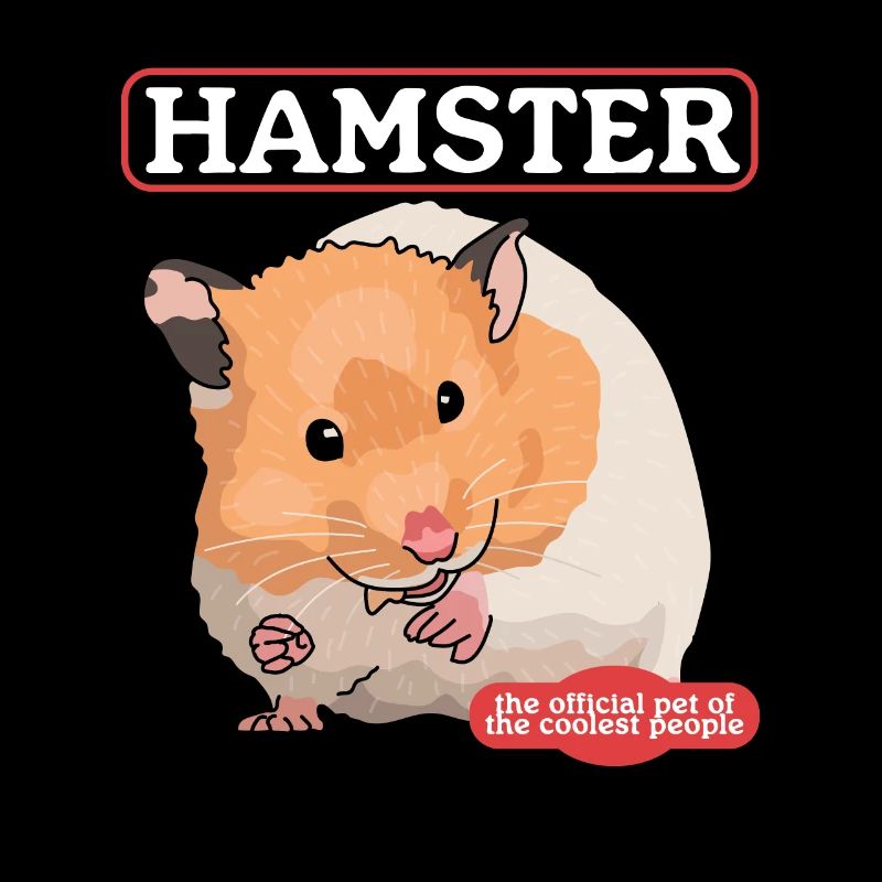 Hamster Golden Hamster Dwarf Hamster Gift