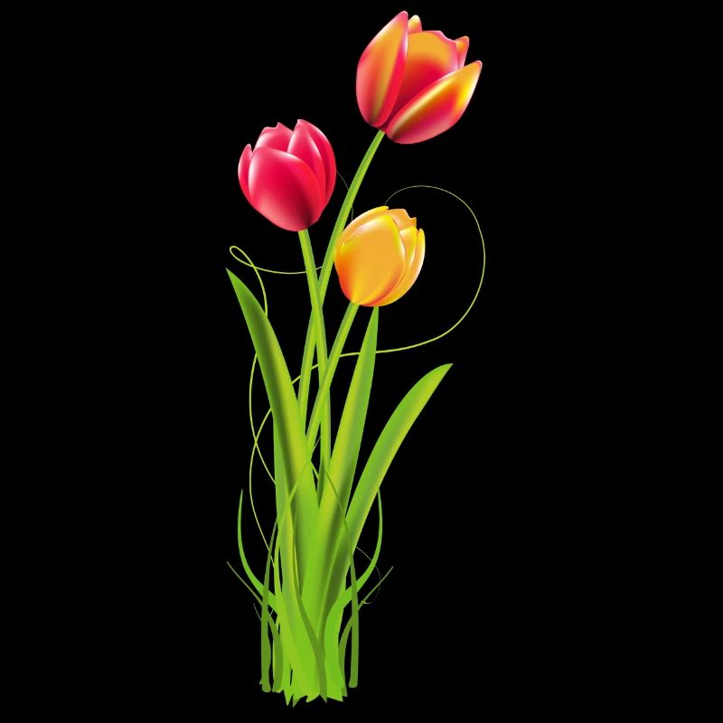 Three brightly coloured tulips as a spring bouquet