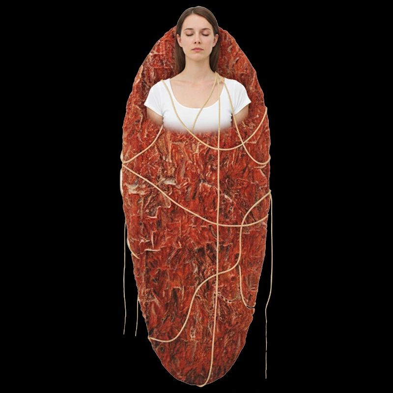 Cocon | La naissance du soi à partir de lui-même