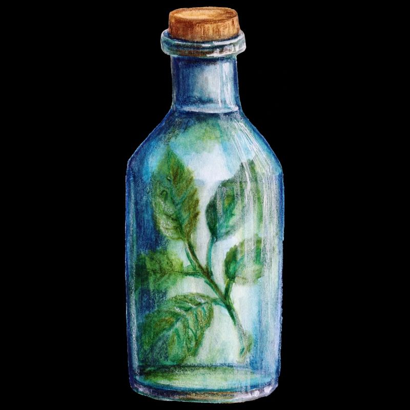 Conception magique de l’heure du cocktail de la sorcière des herbes