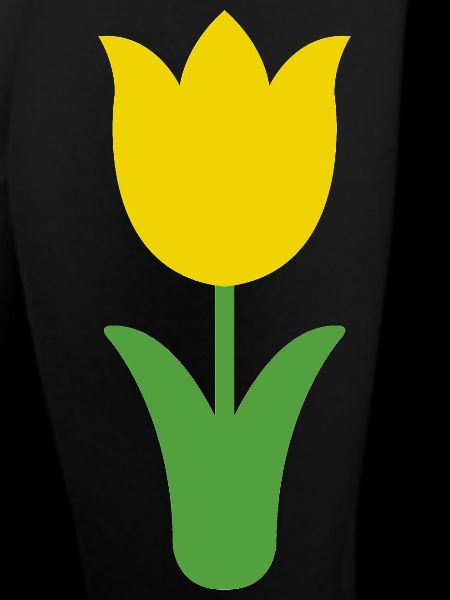 Tulip