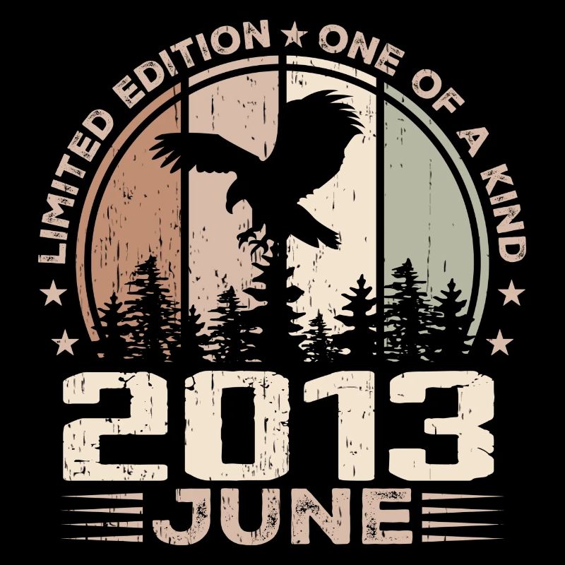 Unvergleichlich seit Juni 2013, 11-jähriges Jubiläum