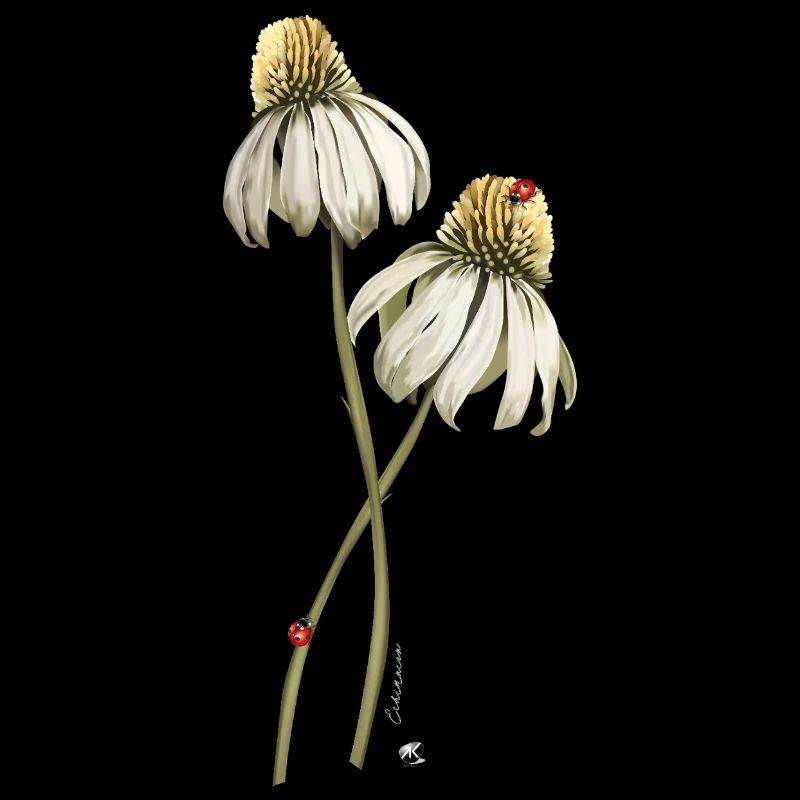 Rote Marienkäfern auf Echinacea-Blume Abbildung