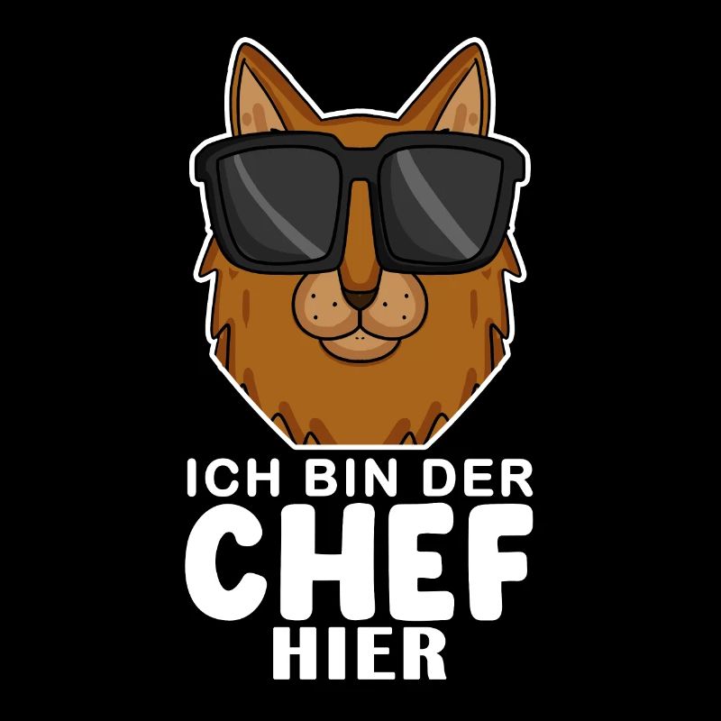 coole Katze - Somali Katze Spruch