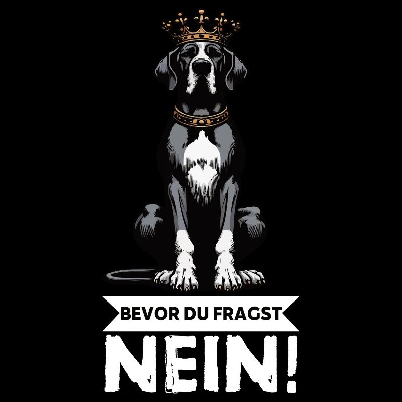 Before you ask Great Dane Great Dane owner