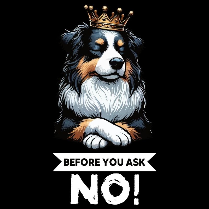 Before You Ask Australian Shepherd Aussie Aussies