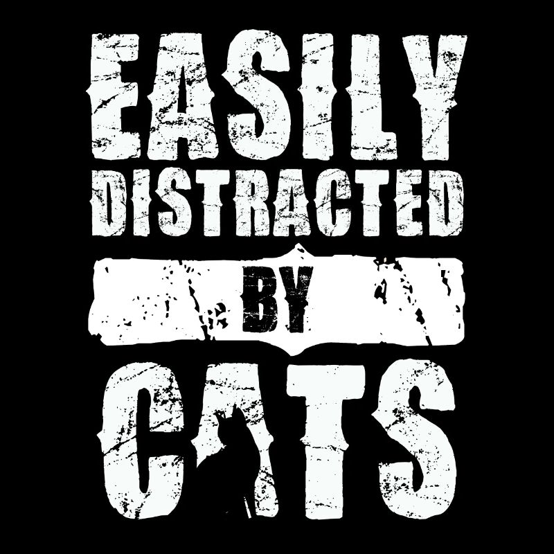 Easily distracted by cats