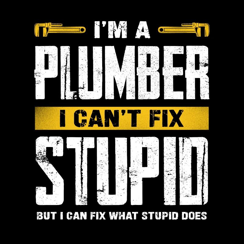 Ich Bin Ein Klempner Ich Kann Dumm Nicht
