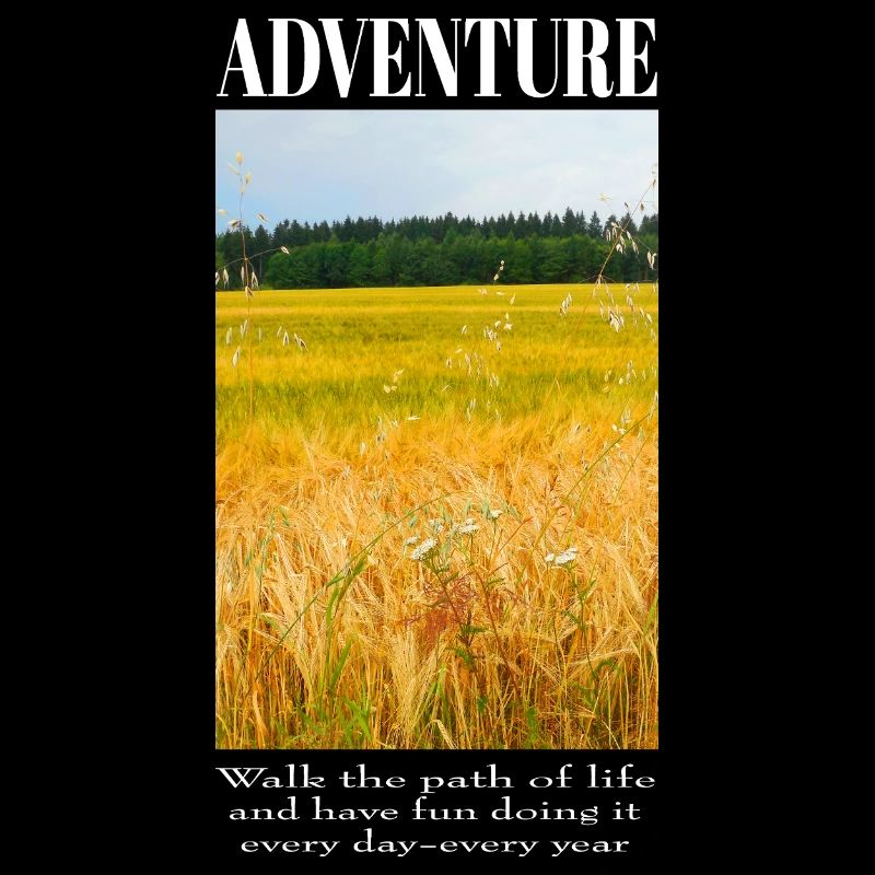 Aventure dans le champ de blé