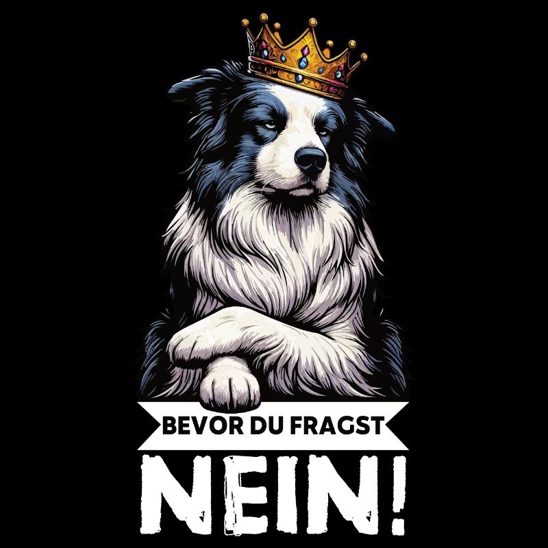 Before you ask: Border Collie, Herding Dog, Collie Dog