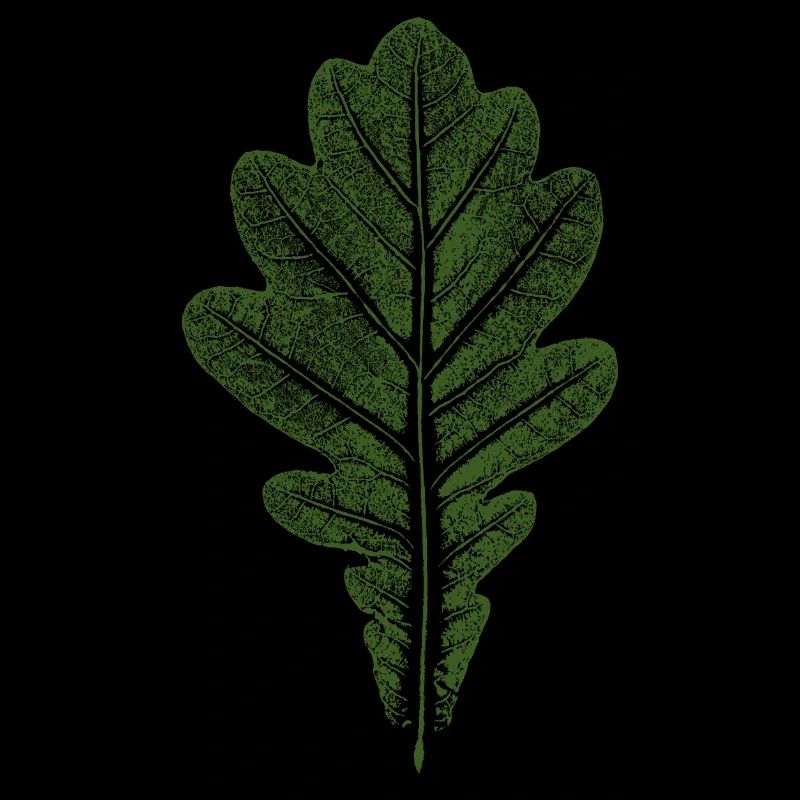 Blatt Eiche - Eichenblatt / Natur & Wald Design