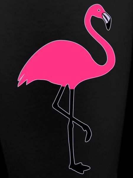 Flamingo summer sun beach