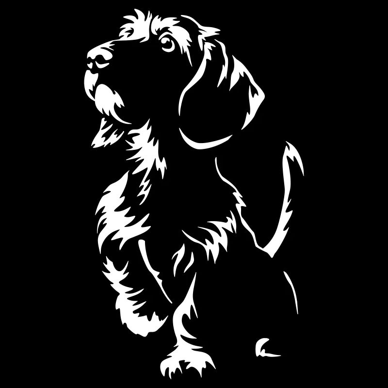 Dackel "Black Edition"