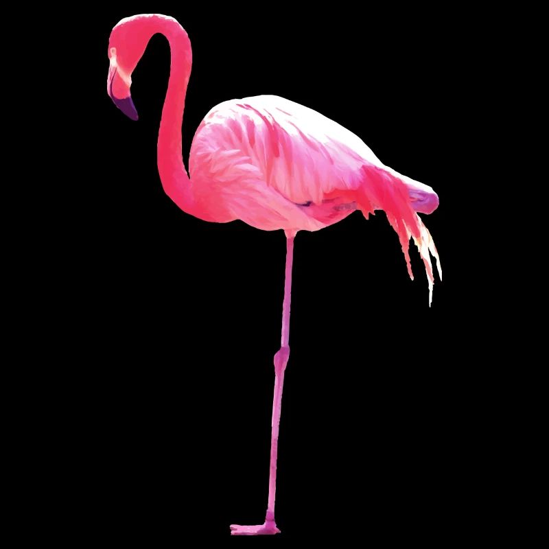 flamingo