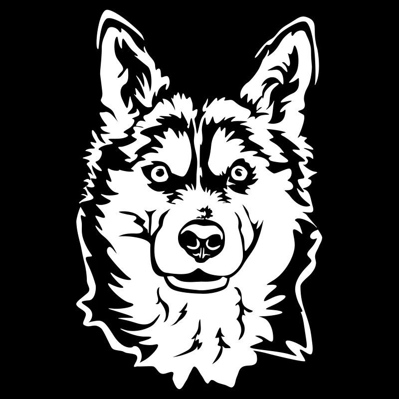 Husky Kopf "Black Edition"