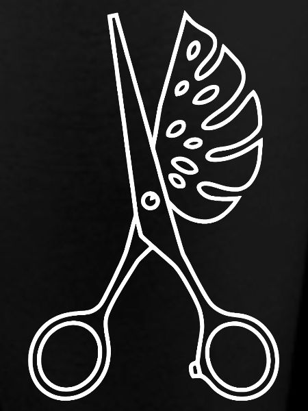 Scissors & Monstera