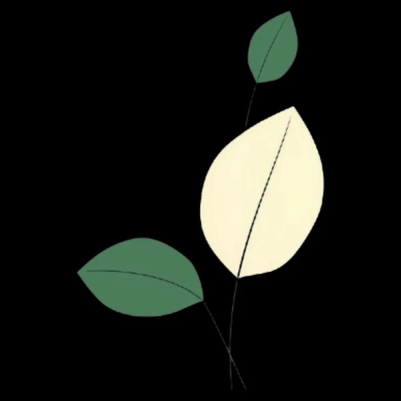 Minimalist leaf study nature