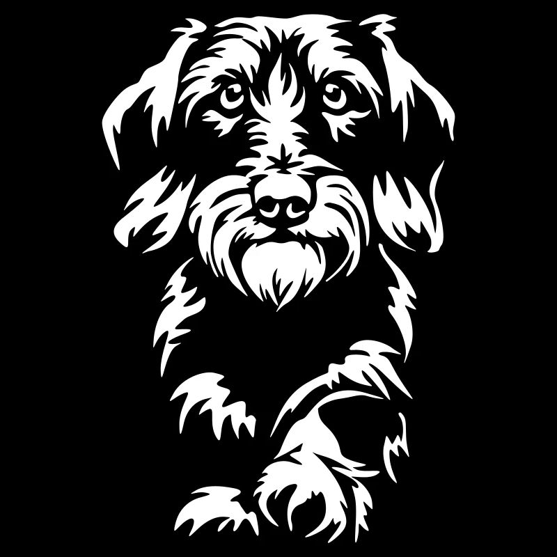Dachshund "Black Edition"