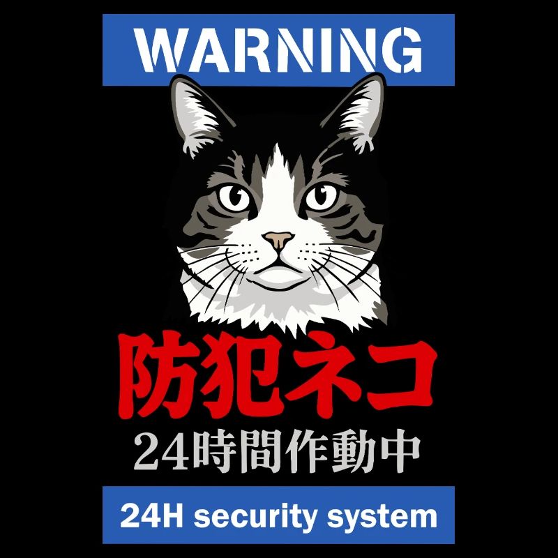 24h Security System