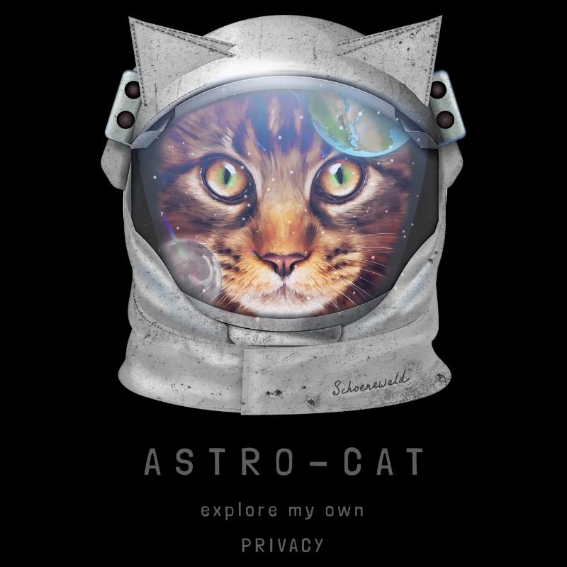 | de chat de l’espace Chat astronaute dans l’espace