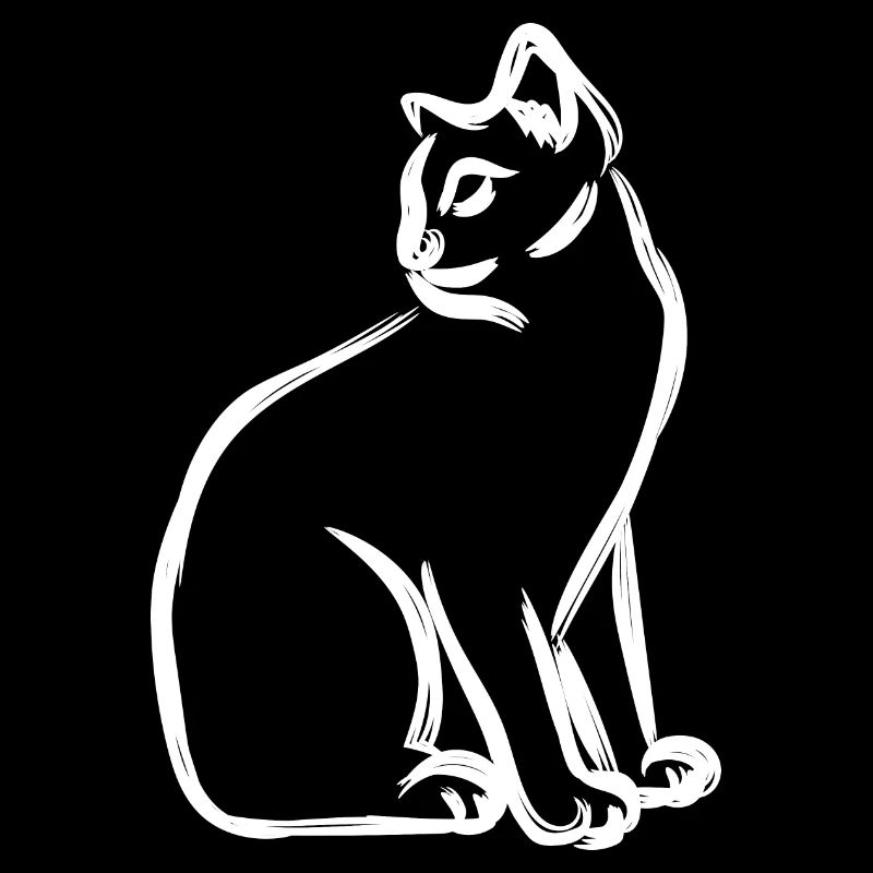 Cat Drawing
