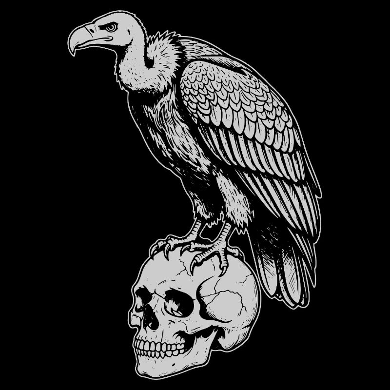 Geier sitzt auf dem Schädel