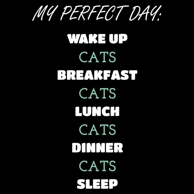 Whimsical Cat Daily Routine Design
