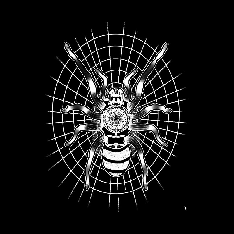 Spider on a round spider web