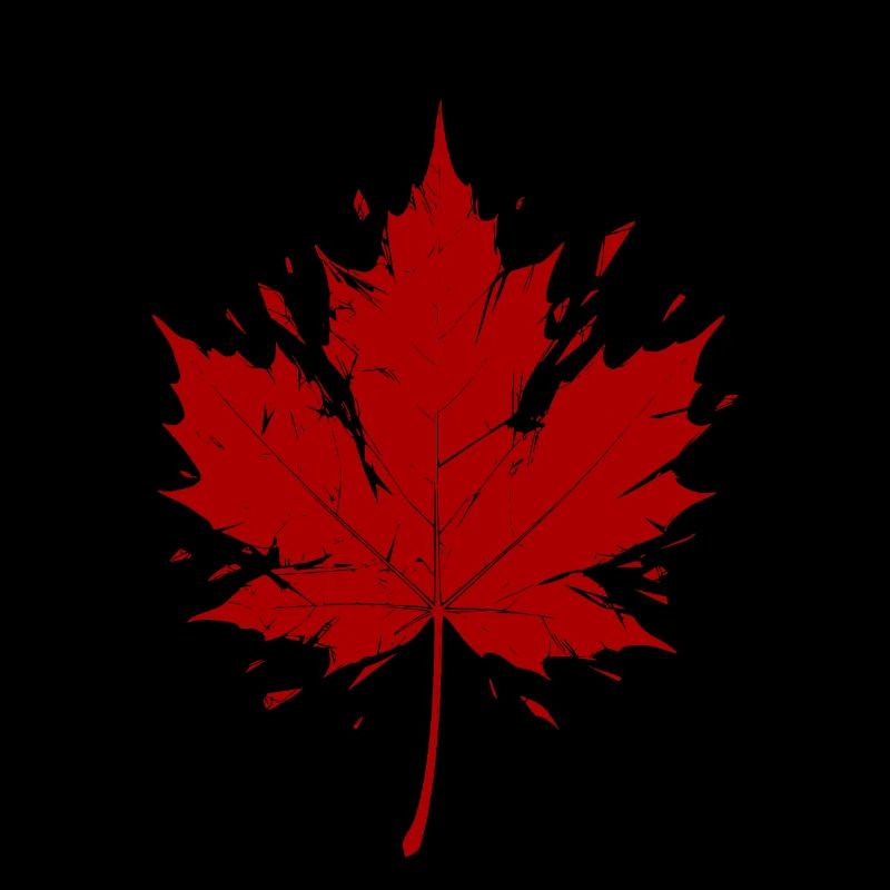 Red Maple Leaf Fragmented