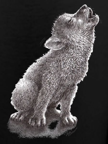 Junger heulender Wolf