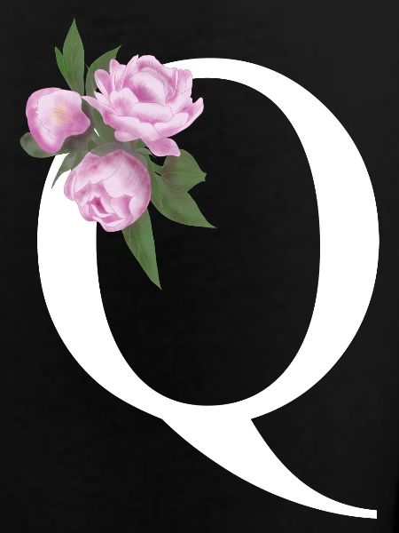 Q