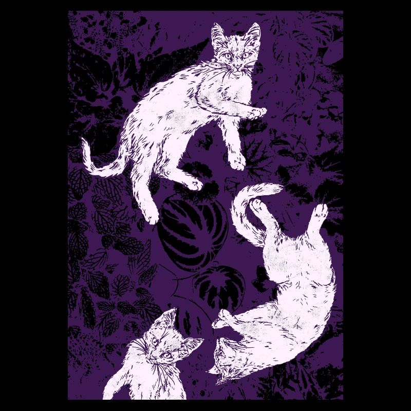 TROIS CHATONS BLANCS