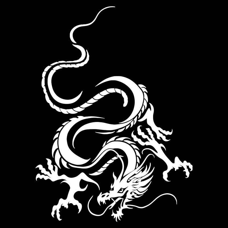 Dragon Blanc Art graphique complexe