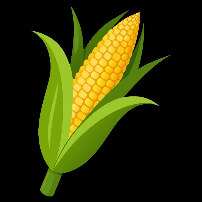 Corn stalk
