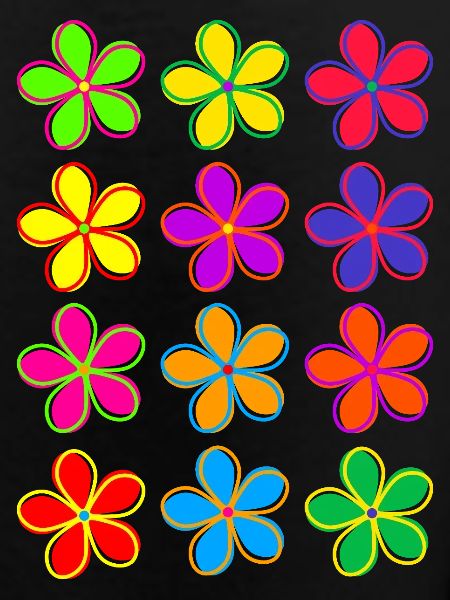 Daisy Flowers