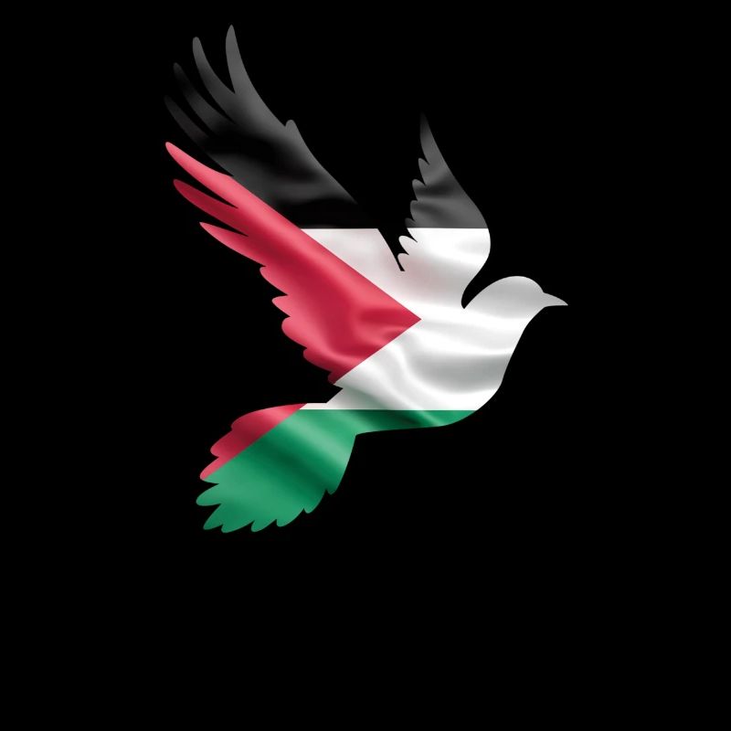Colombe Palestine libre
