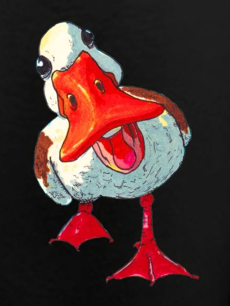 Duck