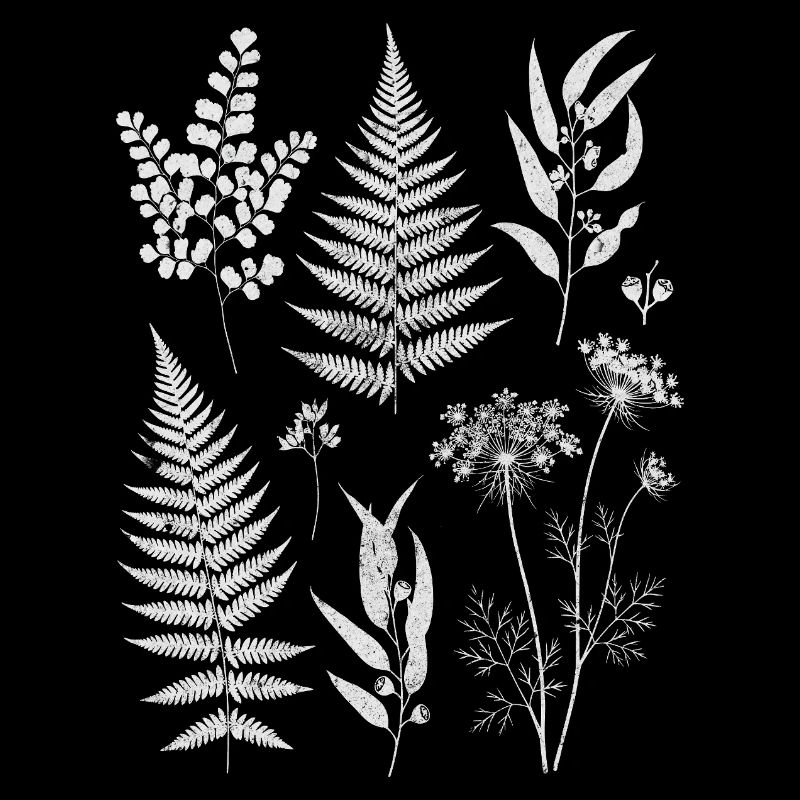 Botanical silhouettes in white