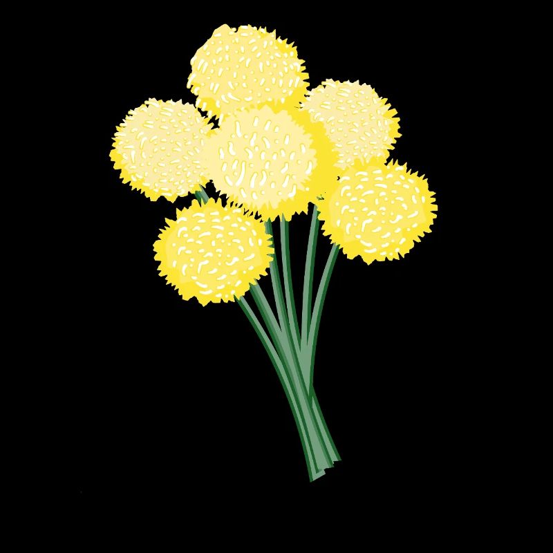 Gelbe Kugelblüten – Löwenzahn