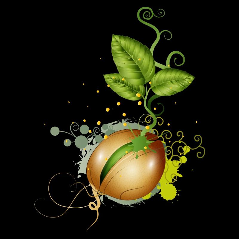 tender germinates in the soil