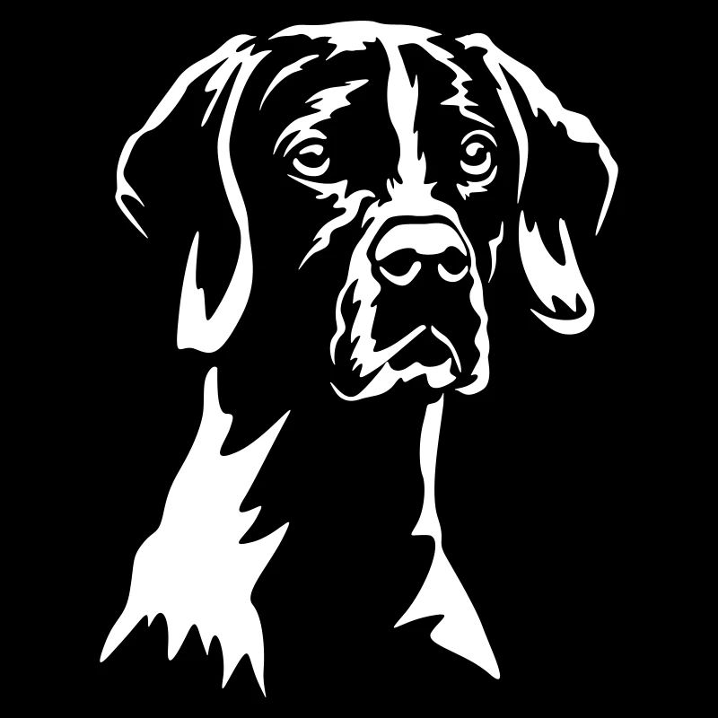 English Pointer "Black Edition"