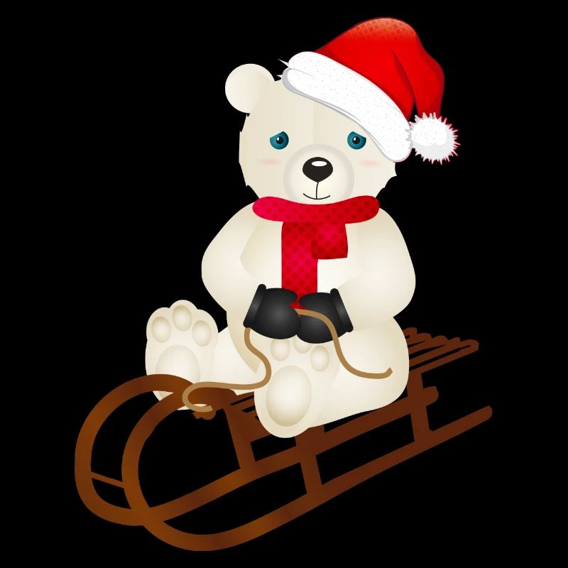 enchanting polar bear while sledging