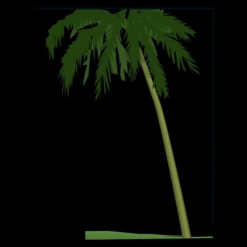 Palm tree in frame | palm tree in frame