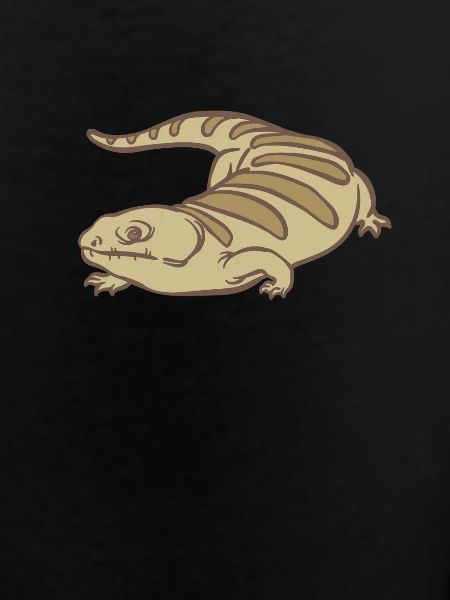 Fascinating and Unique Skink