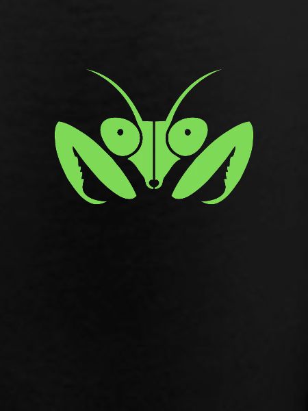 Fascinating praying mantis